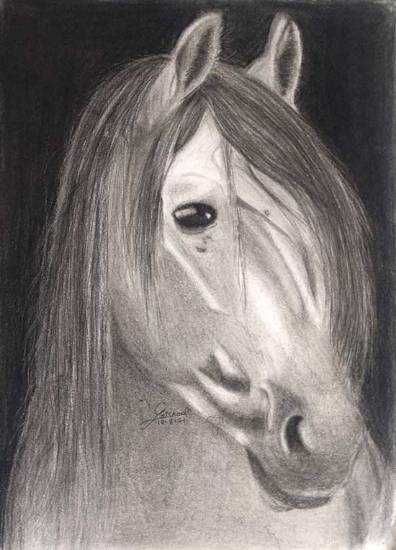 Paintings by Grishma  Mahajan - Horse