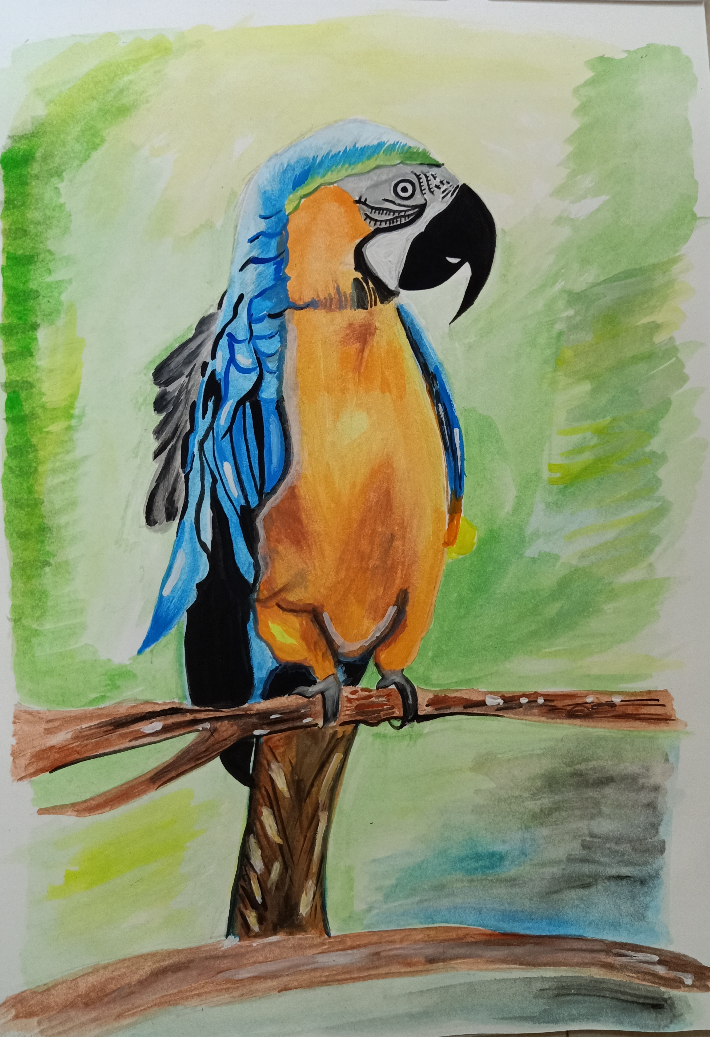 Painting by Mayank Rathi - Macau Parrot