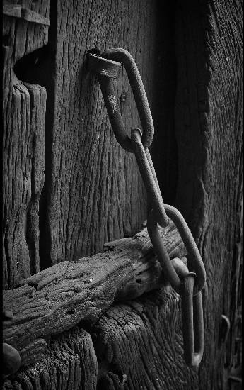 Photograph by Saify Akolawala - Texture - 8