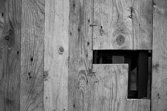 Photograph by Saify Akolawala - Texture - 6