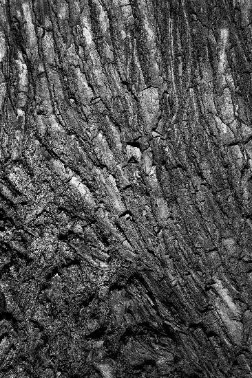 Photograph by Saify Akolawala - Texture - 5