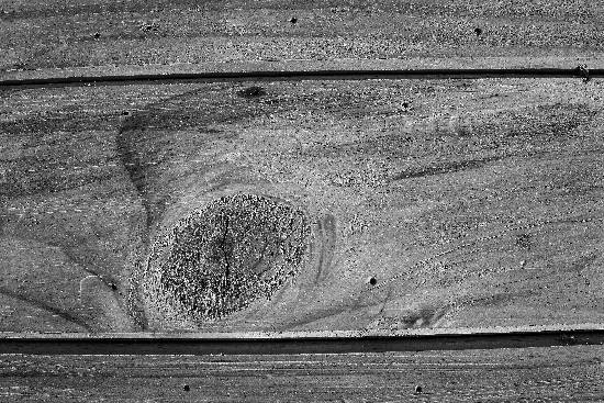 Photograph by Saify Akolawala - Texture - 2