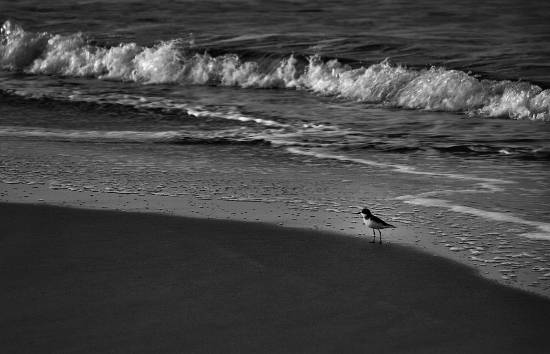 Photograph by Saify Akolawala - Landscape - 25