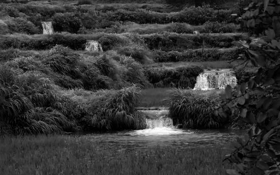 Photograph by Saify Akolawala - Landscape - 24