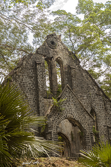 Photograph by Milind Sathe - Ruins of church at Ross Island