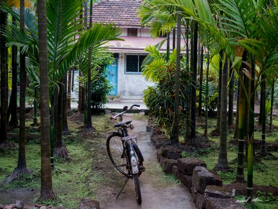 Paintings by Milind Sathe - Bicycle and the House in Kokan