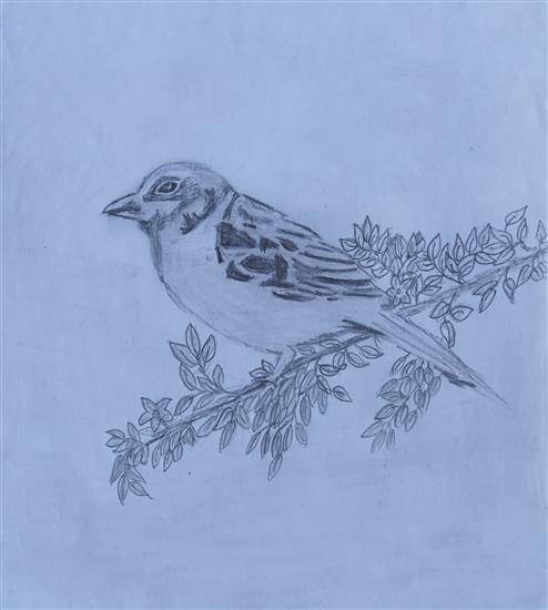 Painting by Sachin Lohakare - A little Sparrow
