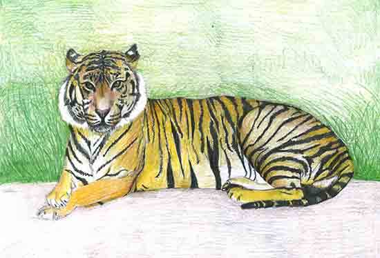 Painting by Saisidhartha Jena - Save the Tigers