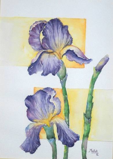 Paintings by Madhvi Dhanak - Enchanting Iris