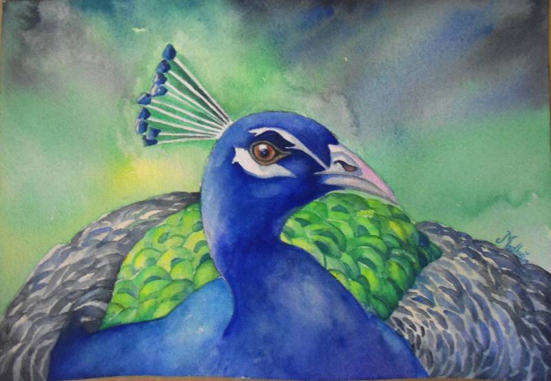 Colors of India, Painting by Emerging Artist Madhvi Dhanak