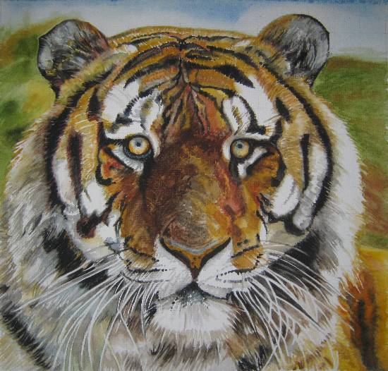 Paintings by Poonam Juvale - Tiger
