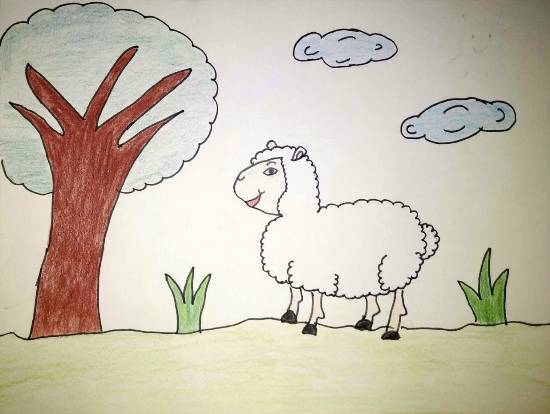 Painting by Ananya Satish Pisharody - Sheep