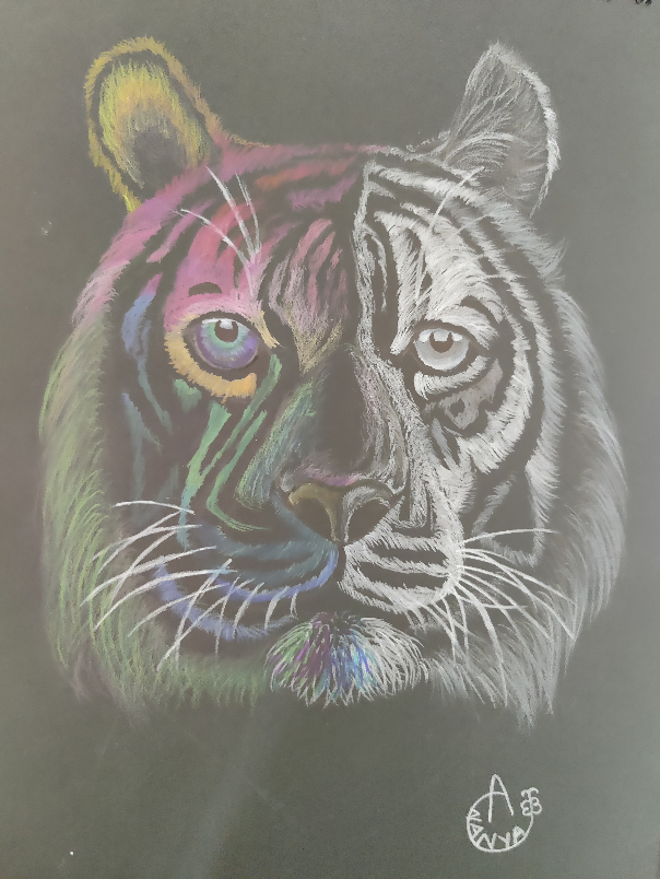 Paintings by Ananya Satish Pisharody - Double faced Tiger