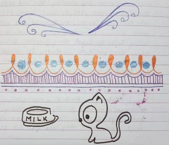 Painting by Tithi Mukhopadhyay - Doodle of Kitten