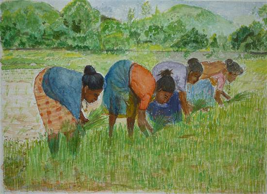 Painting by Mrudula Bapat - Paddy Fields