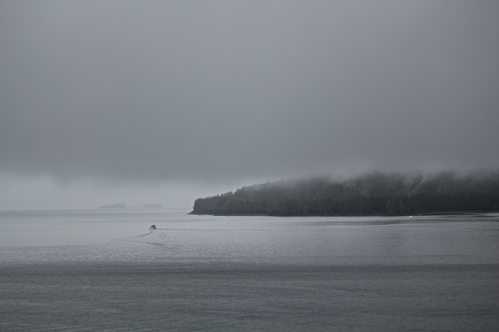 Photograph by Anupama Tiku Dhar - Misty morning as our Cruise Ship approached Juneau Alaska