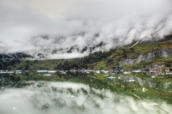 Photograph by Anupama Tiku Dhar - Emerald Forest Reflected in the Alaskan waters