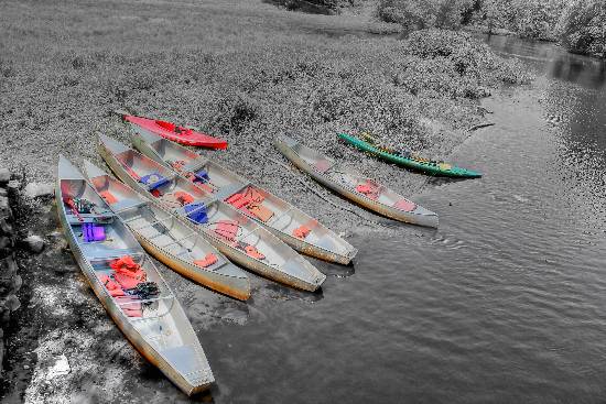 Photograph by Anupama Tiku Dhar - Canoes