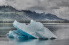 Floating Ice Sculpture, Photo by Anupama Tiku Dhar