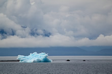 Lone Bald Eagle perched on an Ice Floe, Photo by Anupama Tiku Dhar