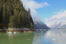 Beautiful Vistas enroute Sawyer Glacier, Photo by Anupama Tiku Dhar