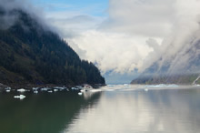 Picture Perfect enroute Sawyer Glacier, Photo by Anupama Tiku Dhar