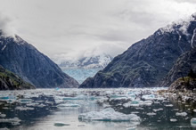 Traffic Jam @Sawyer Glacier Alaska, Photo by Anupama Tiku Dhar