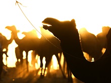 Silhouette, photos by Kumar Mangwani